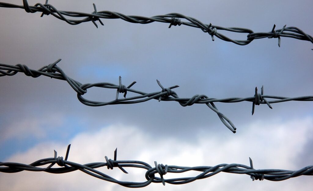 Barbed Wire